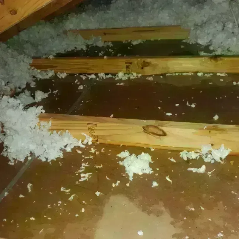 Attic Water Damage in Liberty County, MT