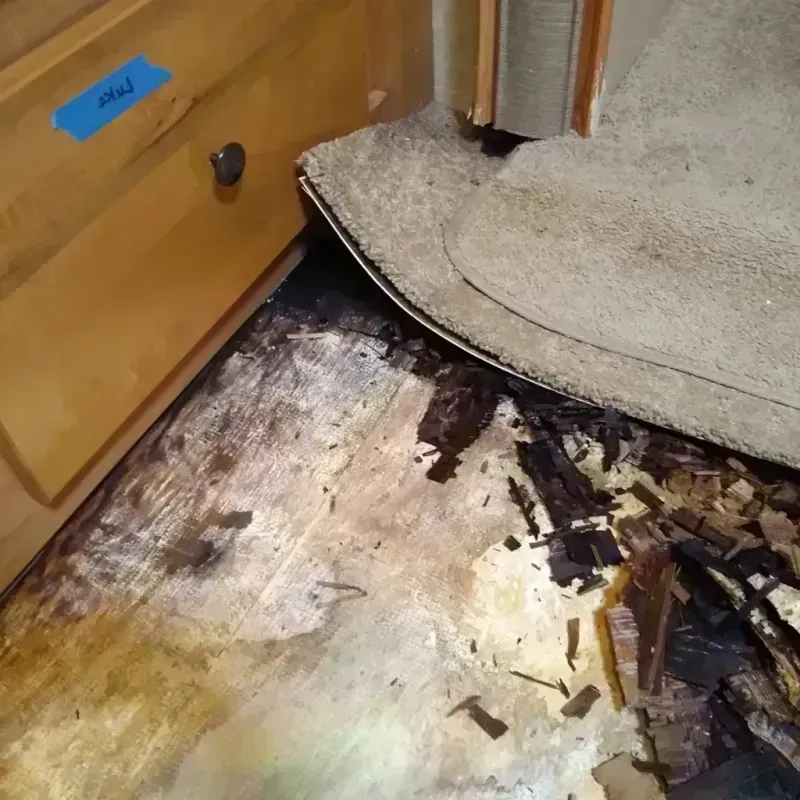 Wood Floor Water Damage in Liberty County, MT